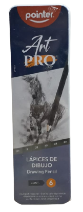 LAPIZ POINTER X6 DP-6ST